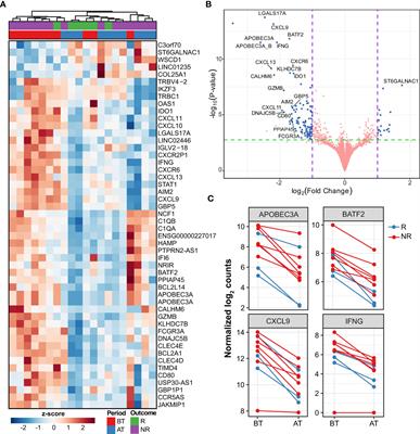 Gene expression patterns associated with multidrug therapy in multibacillary leprosy